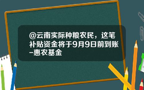 @云南实际种粮农民，这笔补贴资金将于9月9日前到账-惠农基金
