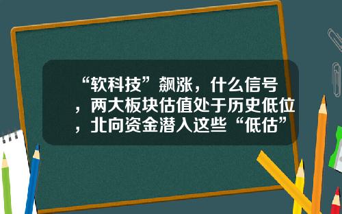 “软科技”飙涨，什么信号，两大板块估值处于历史低位，北向资金潜入这些“低估”股票（名单）-科技资讯股票代码