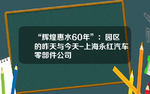“辉煌惠水60年”：园区的昨天与今天-上海永红汽车零部件公司