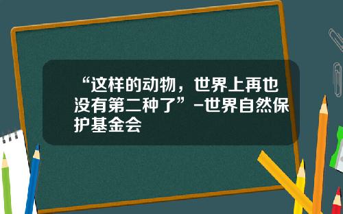 “这样的动物，世界上再也没有第二种了”-世界自然保护基金会