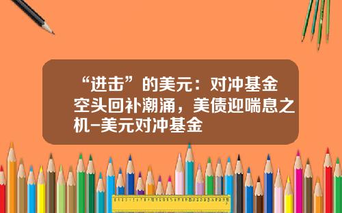 “进击”的美元：对冲基金空头回补潮涌，美债迎喘息之机-美元对冲基金