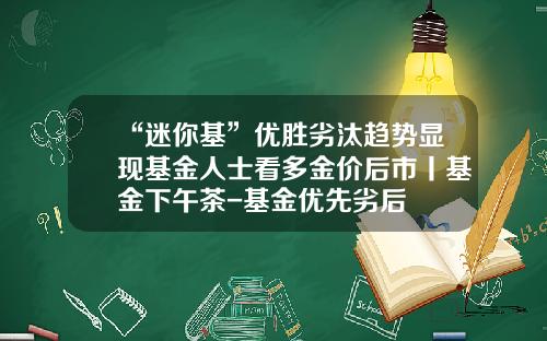 “迷你基”优胜劣汰趋势显现基金人士看多金价后市丨基金下午茶-基金优先劣后