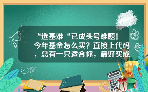 “选基难“已成头号难题！今年基金怎么买？直接上代码，总有一只适合你，最好买成组合……-2015债券代码分？e是多少