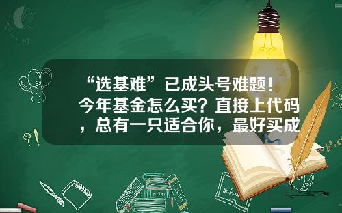 “选基难”已成头号难题！今年基金怎么买？直接上代码，总有一只适合你，最好买成组合……-基金产品代码