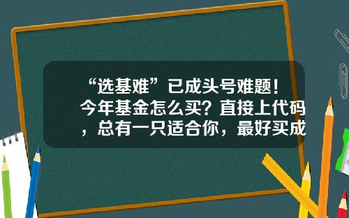 “选基难”已成头号难题！今年基金怎么买？直接上代码，总有一只适合你，最好买成组合……-基金随你问