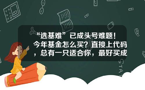 “选基难”已成头号难题！今年基金怎么买？直接上代码，总有一只适合你，最好买成组合……-工银新金融股票基金