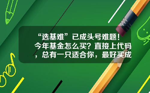 “选基难”已成头号难题！今年基金怎么买？直接上代码，总有一只适合你，最好买成组合……-股票基金代码