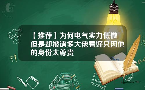 【推荐】为何电气实力低微但是却被诸多大佬看好只因他的身份太尊贵