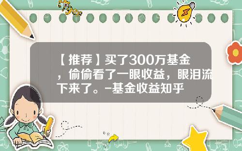 【推荐】买了300万基金，偷偷看了一眼收益，眼泪流下来了。-基金收益知乎