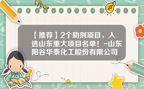 【推荐】2个助剂项目，入选山东重大项目名单！-山东阳谷华泰化工股份有限公司