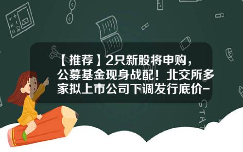 【推荐】2只新股将申购，公募基金现身战配！北交所多家拟上市公司下调发行底价-基金新股