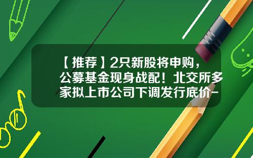【推荐】2只新股将申购，公募基金现身战配！北交所多家拟上市公司下调发行底价-定制公募基金