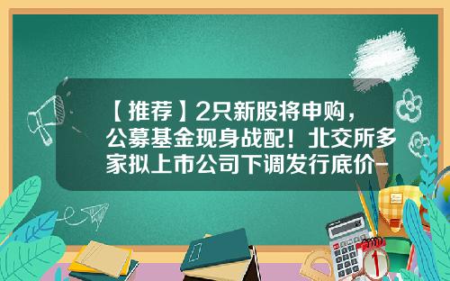 【推荐】2只新股将申购，公募基金现身战配！北交所多家拟上市公司下调发行底价-新股基金