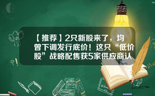 【推荐】2只新股来了，均曾下调发行底价！这只“低价股”战略配售获5家供应商认购！-新股配售最大配多少