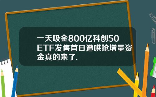一天吸金800亿科创50ETF发售首日遭哄抢增量资金真的来了.