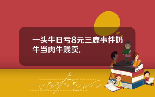 一头牛日亏8元三鹿事件奶牛当肉牛贱卖.