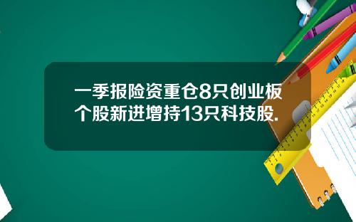 一季报险资重仓8只创业板个股新进增持13只科技股.