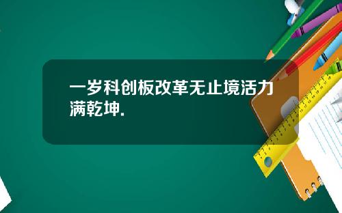一岁科创板改革无止境活力满乾坤.