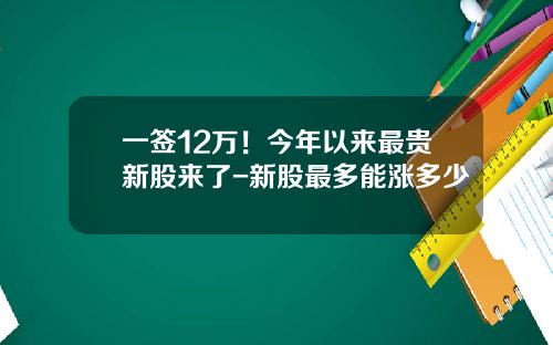 一签12万!今年以来最贵新股来了-新股最多能涨多少