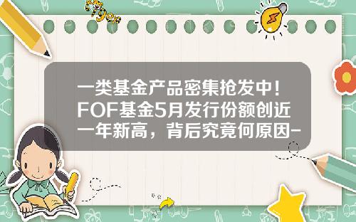 一类基金产品密集抢发中！FOF基金5月发行份额创近一年新高，背后究竟何原因-基金发行渠道