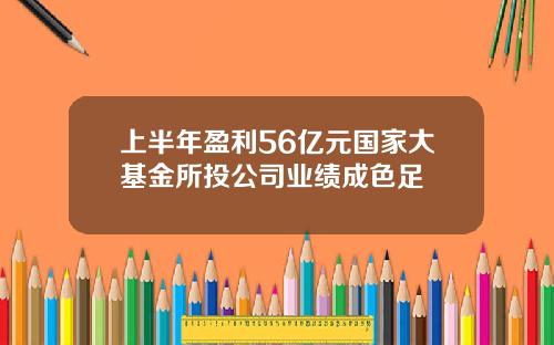 上半年盈利56亿元国家大基金所投公司业绩成色足