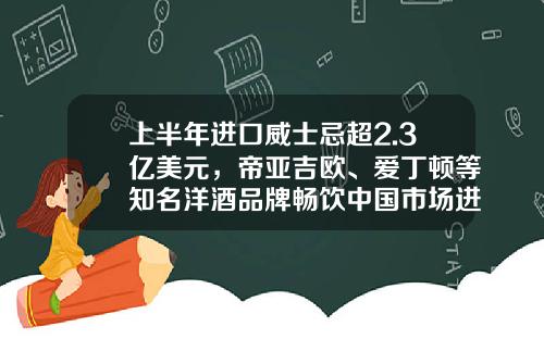 上半年进口威士忌超2.3亿美元，帝亚吉欧、爱丁顿等知名洋酒品牌畅饮中国市场进博会购物车-帝亚吉欧酒业公司【新闻】.
