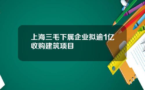 上海三毛下属企业拟逾1亿收购建筑项目