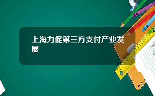 上海力促第三方支付产业发展