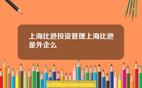 上海比逊投资管理上海比逊是外企么