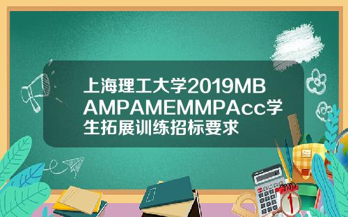 上海理工大学2019MBAMPAMEMMPAcc学生拓展训练招标要求