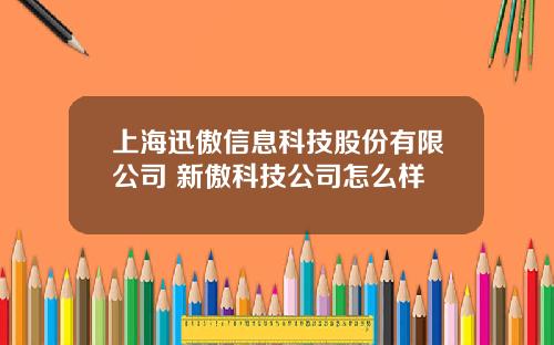 上海迅傲信息科技股份有限公司 新傲科技公司怎么样