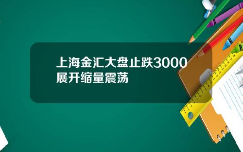 上海金汇大盘止跌3000展开缩量震荡
