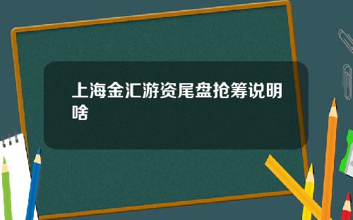 上海金汇游资尾盘抢筹说明啥