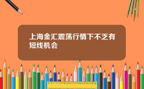 上海金汇震荡行情下不乏有短线机会