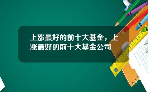 上涨最好的前十大基金,上涨最好的前十大基金公司