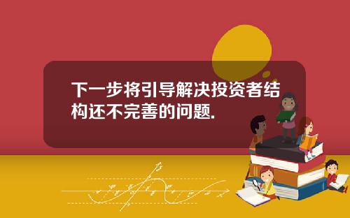 下一步将引导解决投资者结构还不完善的问题.