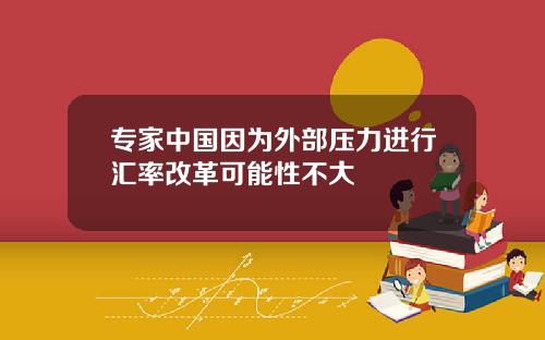 专家中国因为外部压力进行汇率改革可能性不大