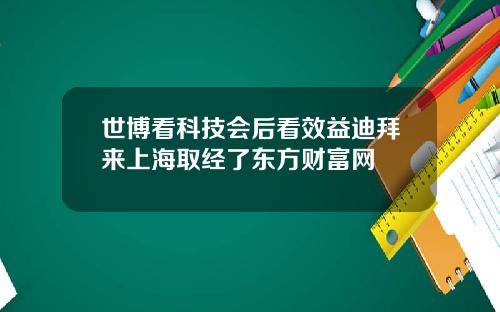 世博看科技会后看效益迪拜来上海取经了东方财富网