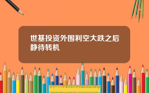 世基投资外围利空大跌之后静待转机