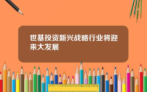 世基投资新兴战略行业将迎来大发展