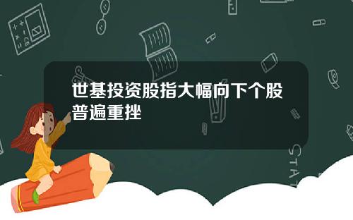 世基投资股指大幅向下个股普遍重挫