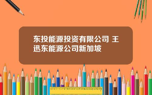 东投能源投资有限公司 王迅东能源公司新加坡