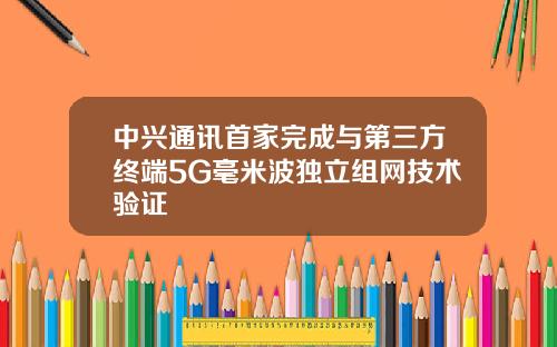 中兴通讯首家完成与第三方终端5G毫米波独立组网技术验证