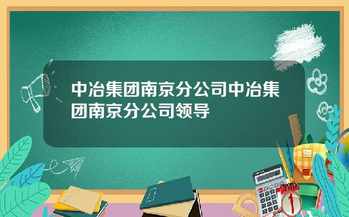 中冶集团南京分公司中冶集团南京分公司领导