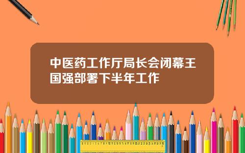 中医药工作厅局长会闭幕王国强部署下半年工作
