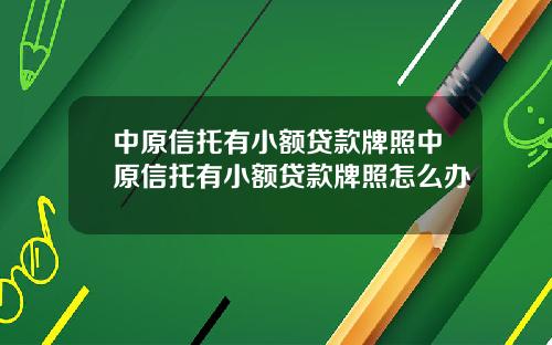 中原信托有小额贷款牌照中原信托有小额贷款牌照怎么办