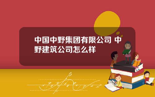 中国中野集团有限公司 中野建筑公司怎么样