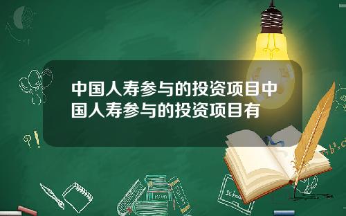 中国人寿参与的投资项目中国人寿参与的投资项目有