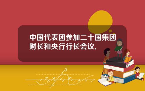 中国代表团参加二十国集团财长和央行行长会议.
