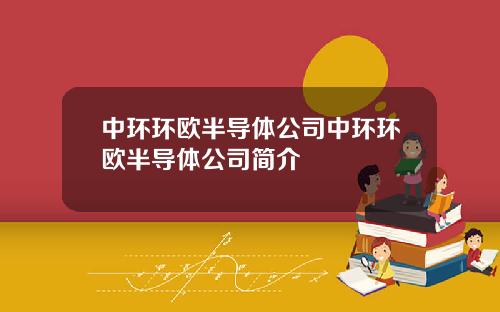 中环环欧半导体公司中环环欧半导体公司简介